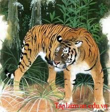 con ho con nghia - Đóng vai một con hổ kể lại câu chuyện “Con hổ có nghĩa”