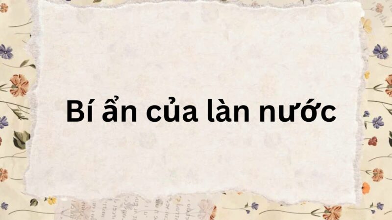 Tóm tắt Bí ẩn của làn nước – Ngữ văn lớp 9 Kết nối tri thức