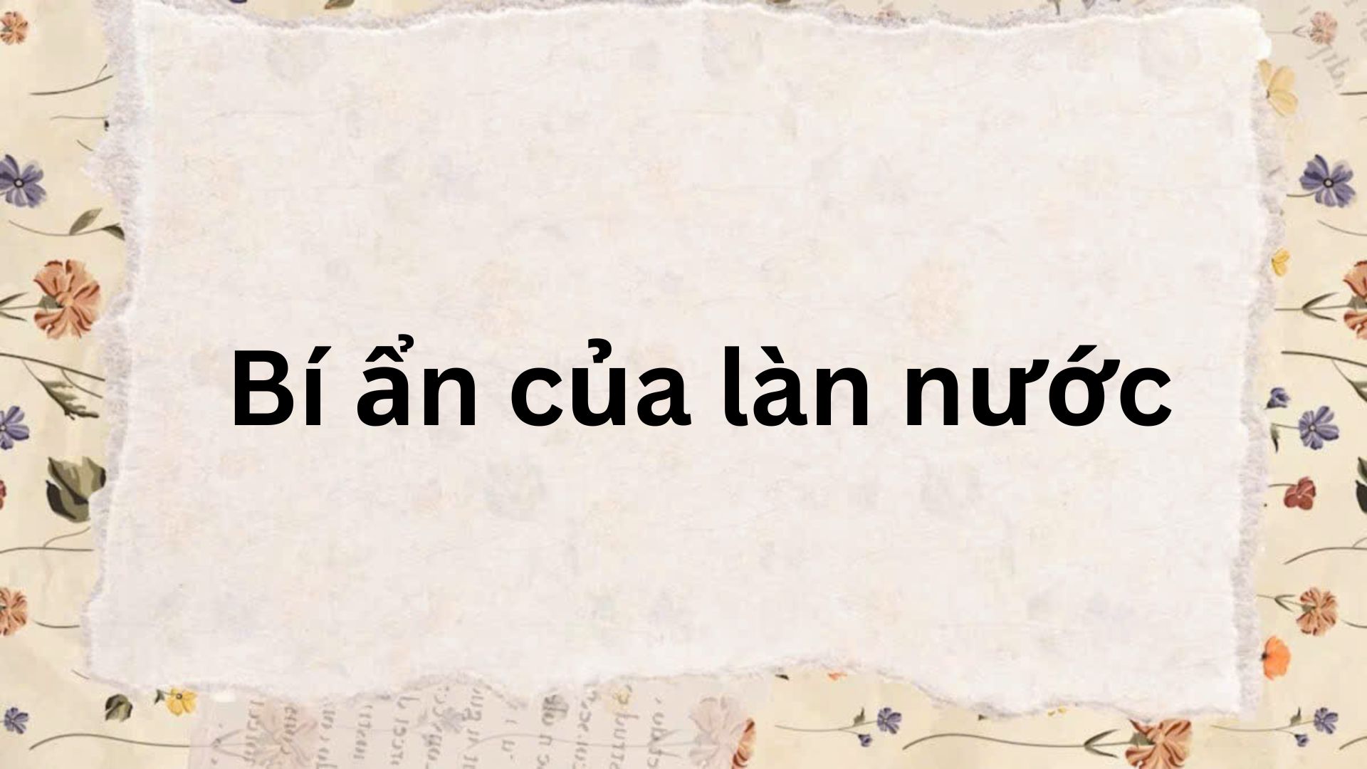 Tác giả – Tác phẩm: Bí ẩn của làn nước – Ngữ văn lớp 9 Kết nối tri thức