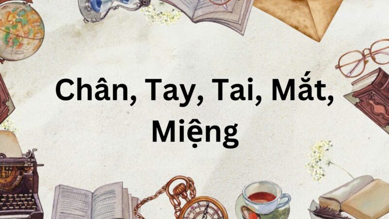 Soạn bài Chân, Tay, Tai, Mắt, Miệng (trang 43, 44, 45) – Chân trời sáng tạo