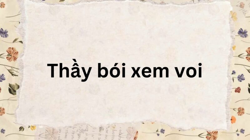 Tóm tắt Thầy bói xem voi – Ngữ văn lớp 7 Chân trời sáng tạo