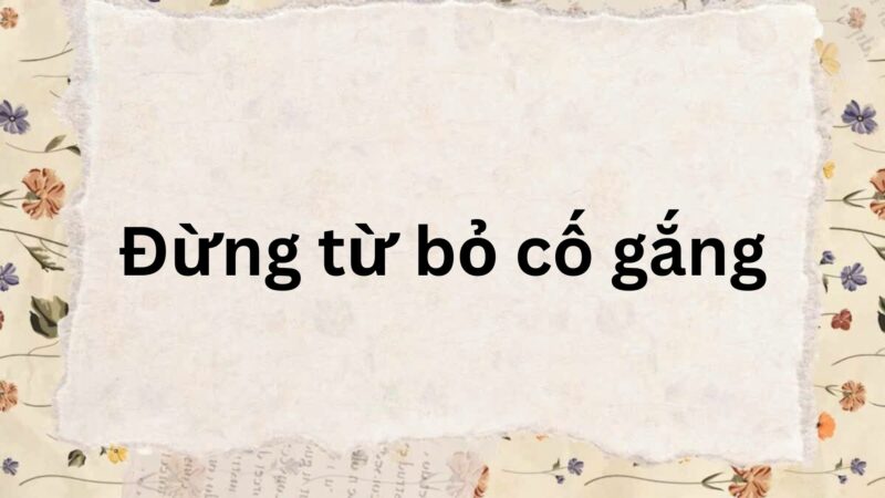 Soạn bài Đừng từ bỏ cố gắng – Chân trời sáng tạo