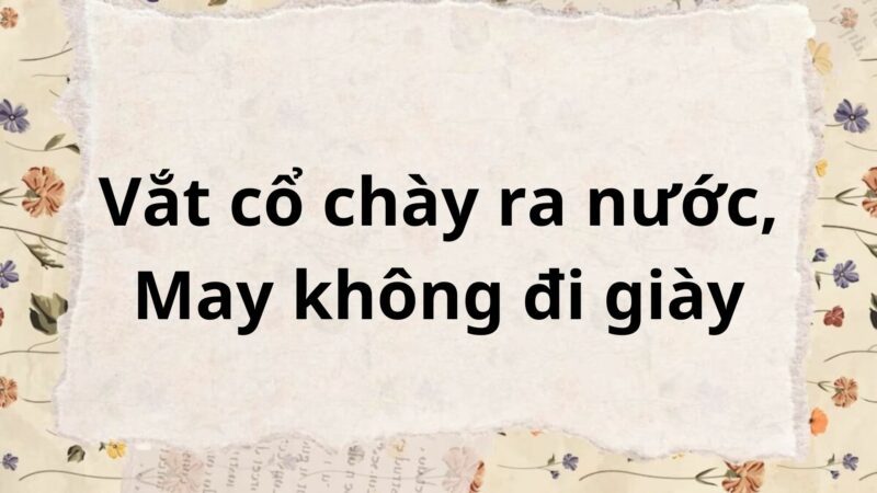 Soạn bài Vắt cổ chày ra nước, May không đi giày – Chân trời sáng tạo