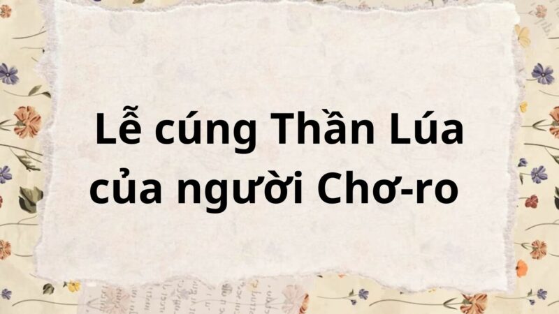 Soạn bài Lễ cúng Thần Lúa của người Chơ-ro – Chân trời sáng tạo