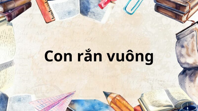 Tóm tắt Con rắn vuông – Ngữ văn lớp 8 Chân trời sáng tạo