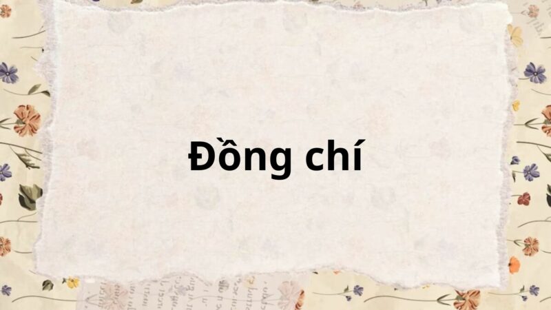 Soạn bài Đồng chí – Kết nối tri thức