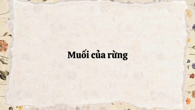 Tóm tắt Muối của rừng