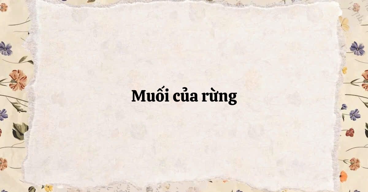 Tóm tắt Muối của rừng