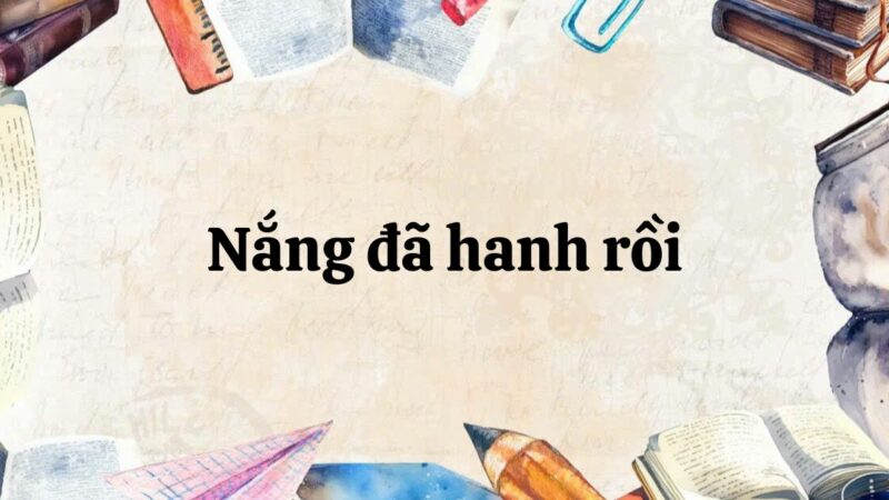 Soạn bài Nắng đã hanh rồi