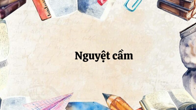 Tác giả – tác phẩm: Nguyệt cầm