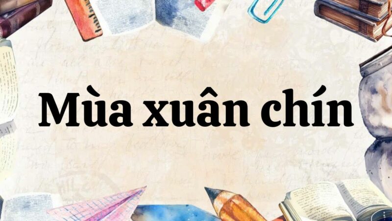 Tóm tắt Mùa xuân chín