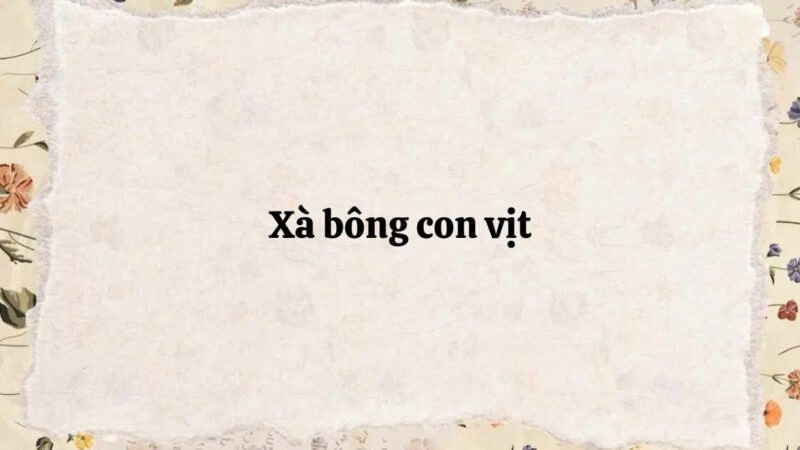 Soạn bài Xà bông con vịt