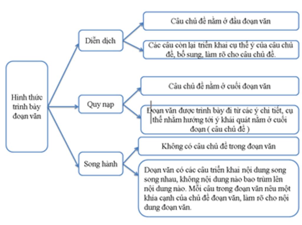 Cách viết đoạn văn diễn dịch hiệu quả giúp cải thiện kỹ năng diễn đạt