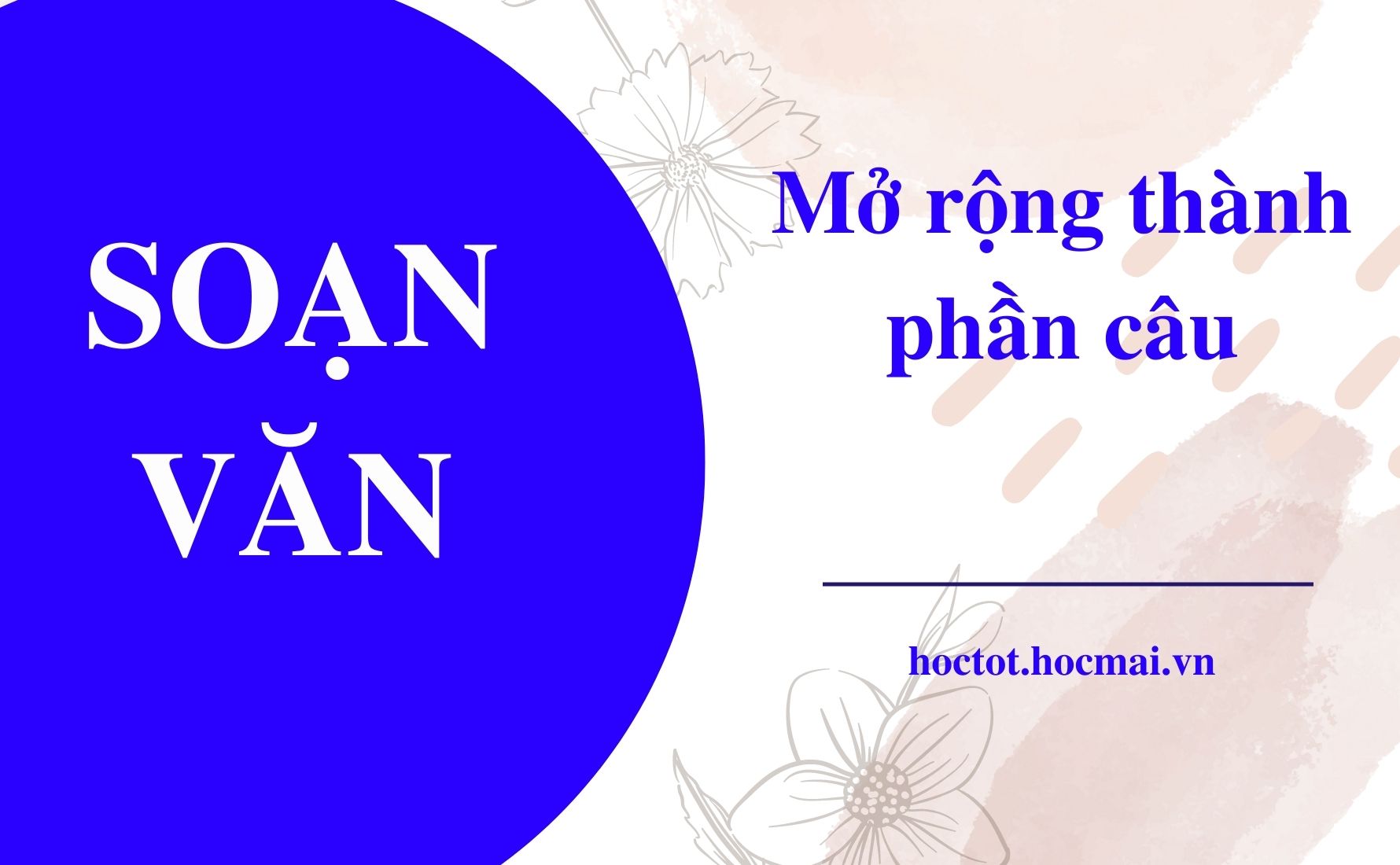 Câu đơn mở rộng thành phần là gì?