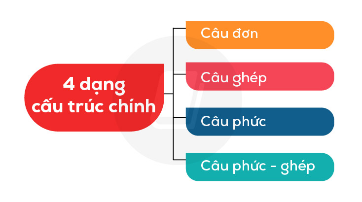 Câu phức là gì và cách nhận biết chúng trong ngữ pháp tiếng Việt