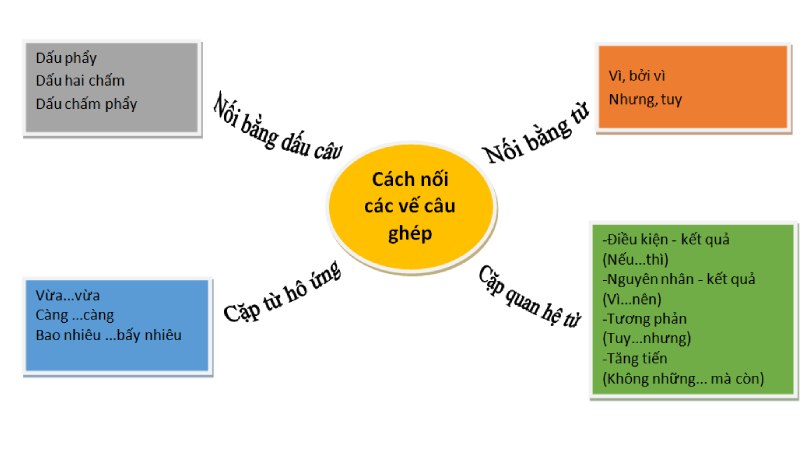 Tìm hiểu phép liên kết là gì và vai trò của nó trong ngôn ngữ