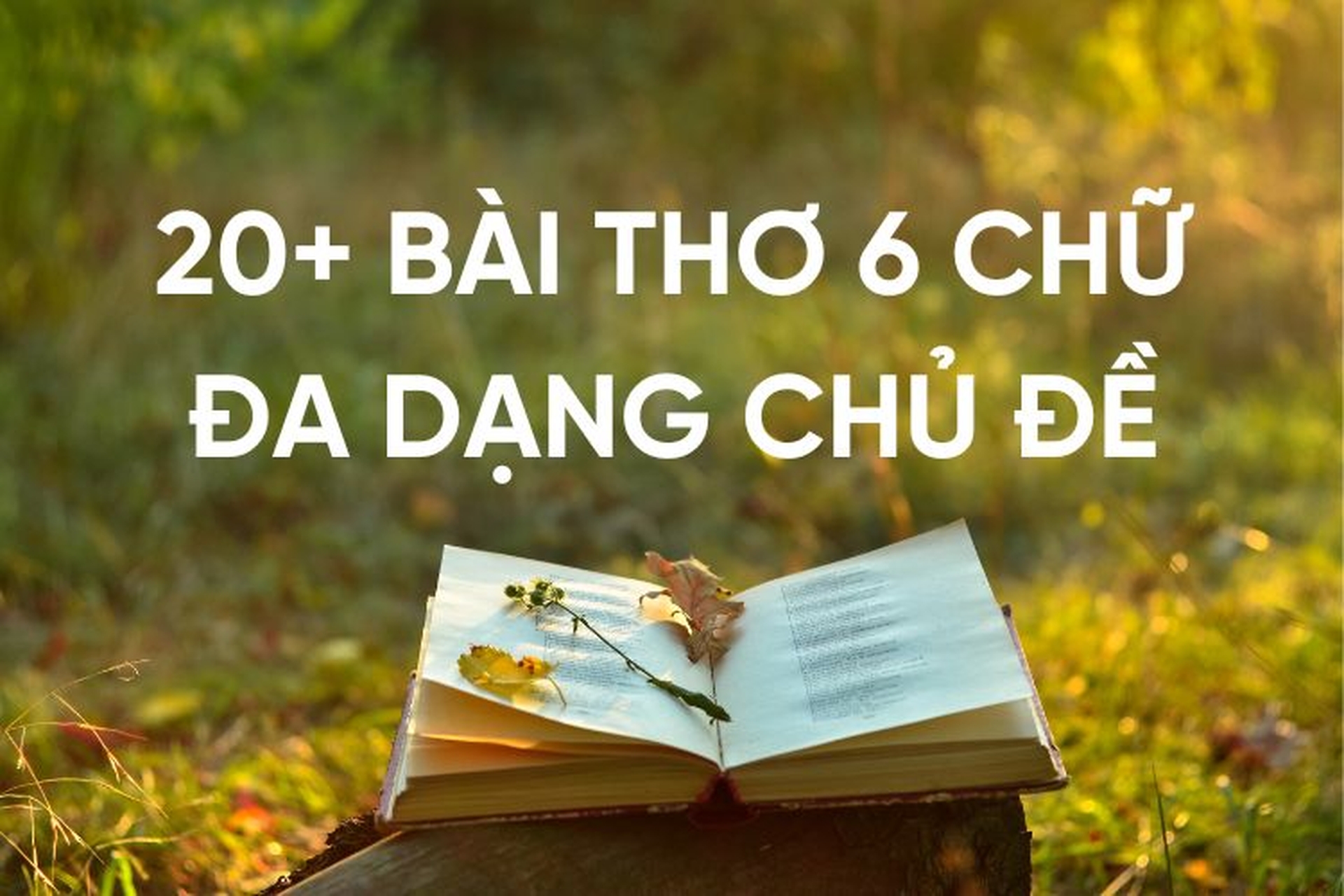 Thể thơ 6 chữ và những nét đặc sắc trong nghệ thuật thơ Việt