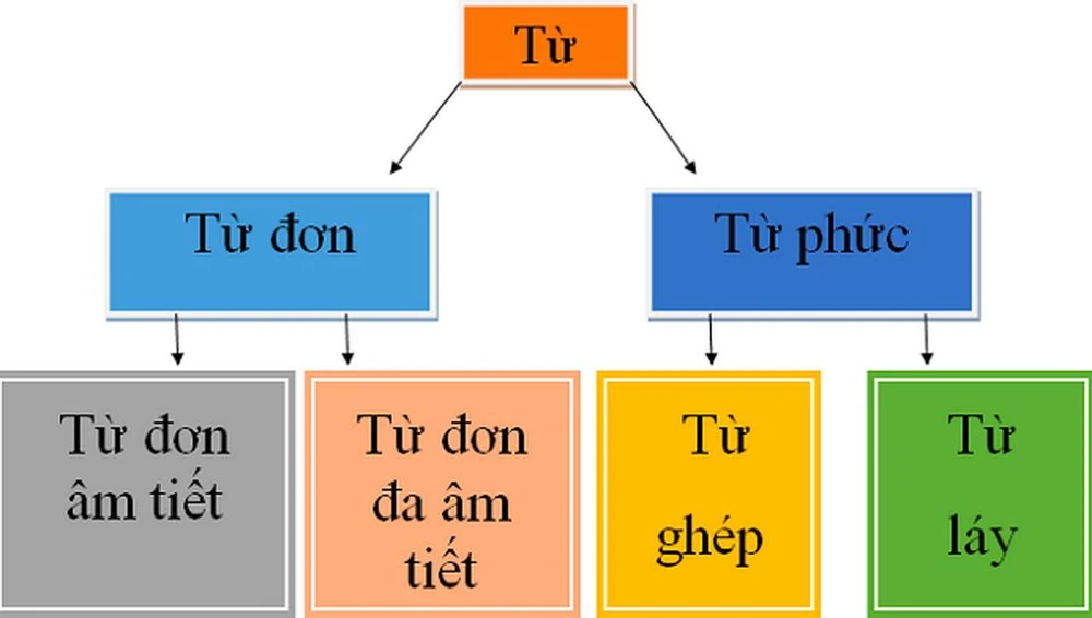 Từ ghép là gì và những điều thú vị cần biết về nó trong ngôn ngữ