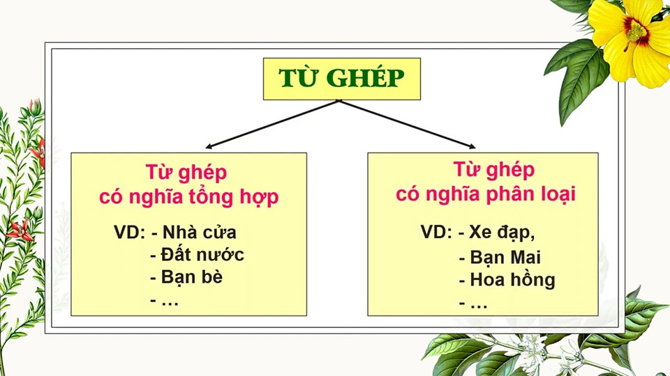 Tổng kết về từ ghép và sự ứng dụng